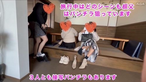 【序章作:姪っ子親子と家族旅行(前編)】家族にバレないように露出~学費を使い込んだ姉の緊急回収劇~